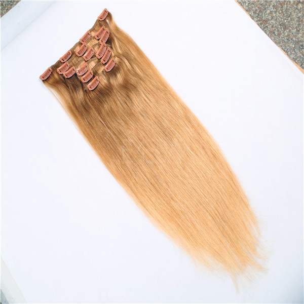 Hot sale cheap human hair long life time clip in hair extensions WJ031